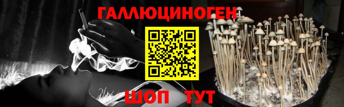 Псилоцибиновые грибы мухоморы Астрахань